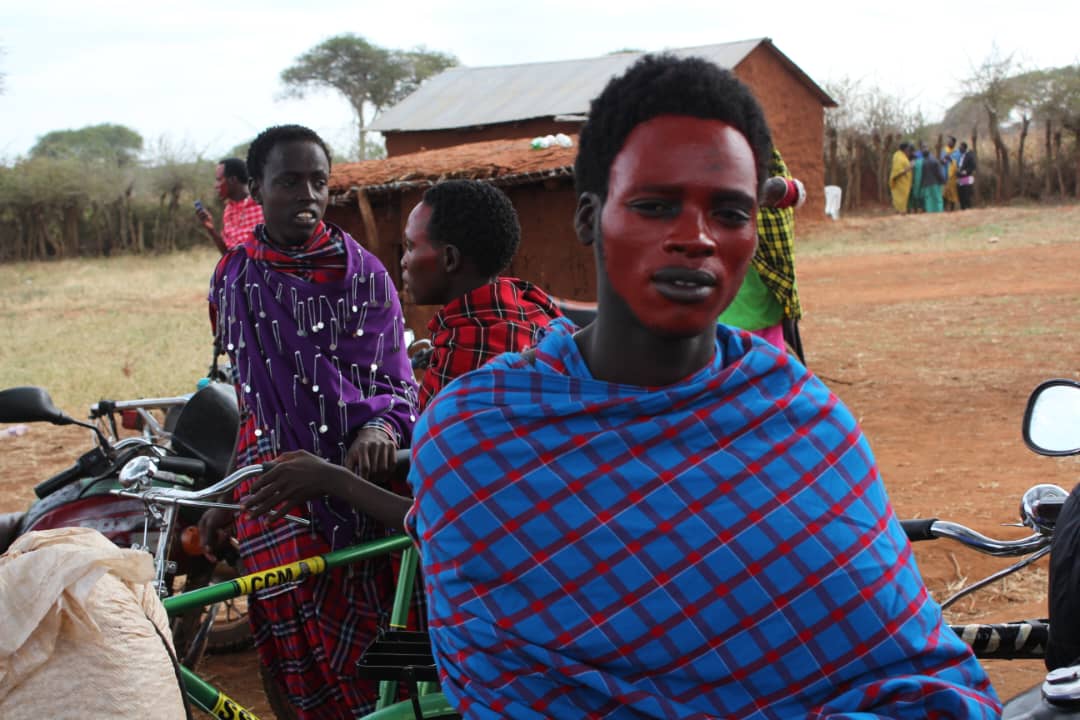 Maasai Tribe Large