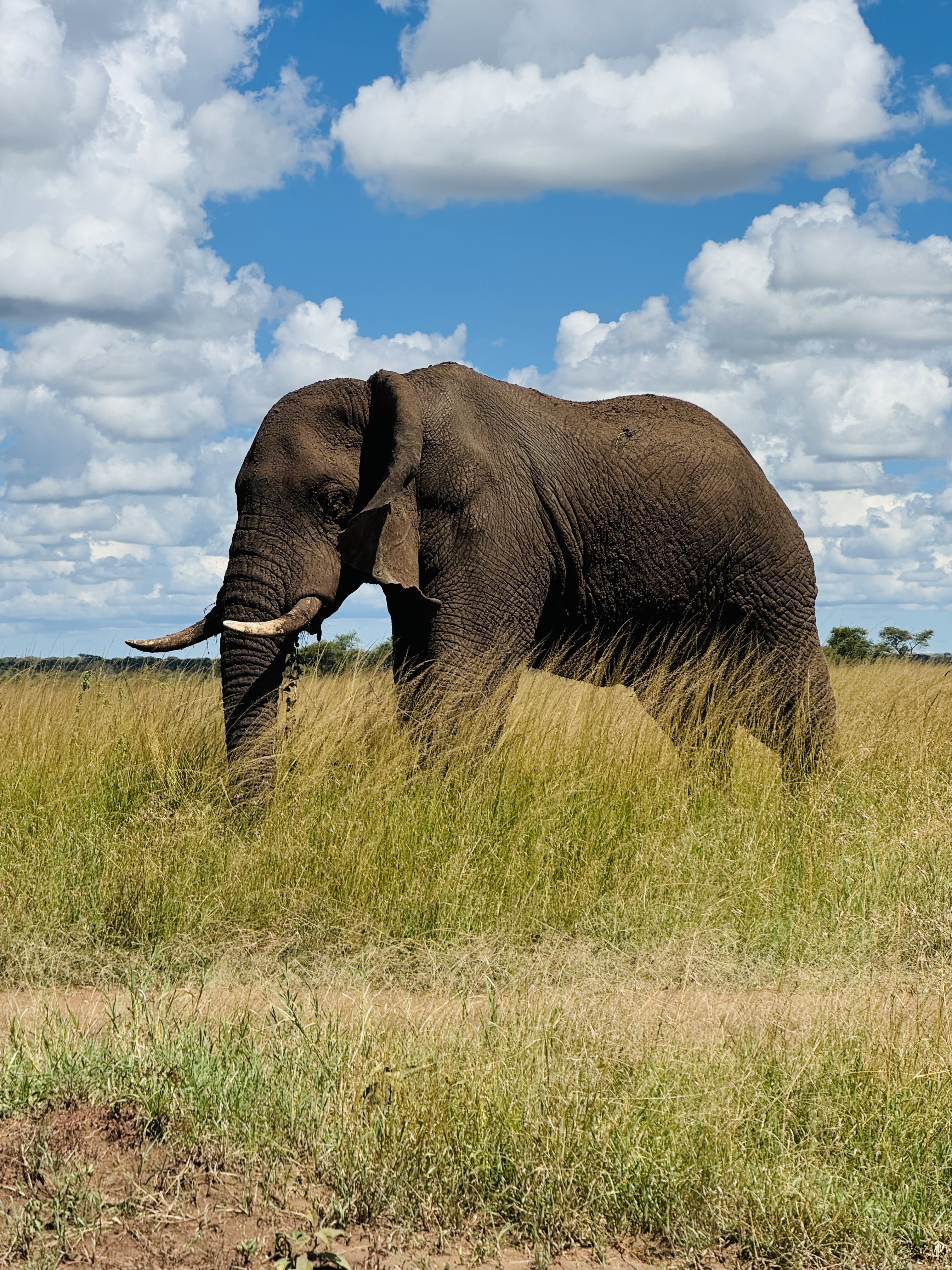 10-Day Extended Safari Expedition